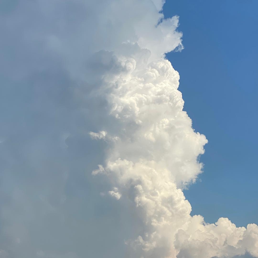 *糖醋排骨微酸ꪔ̤̮𖡼𖥧𖤥𖡼