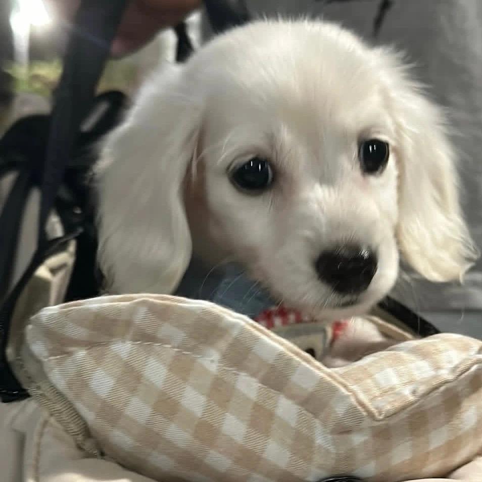 网络现状真可怕