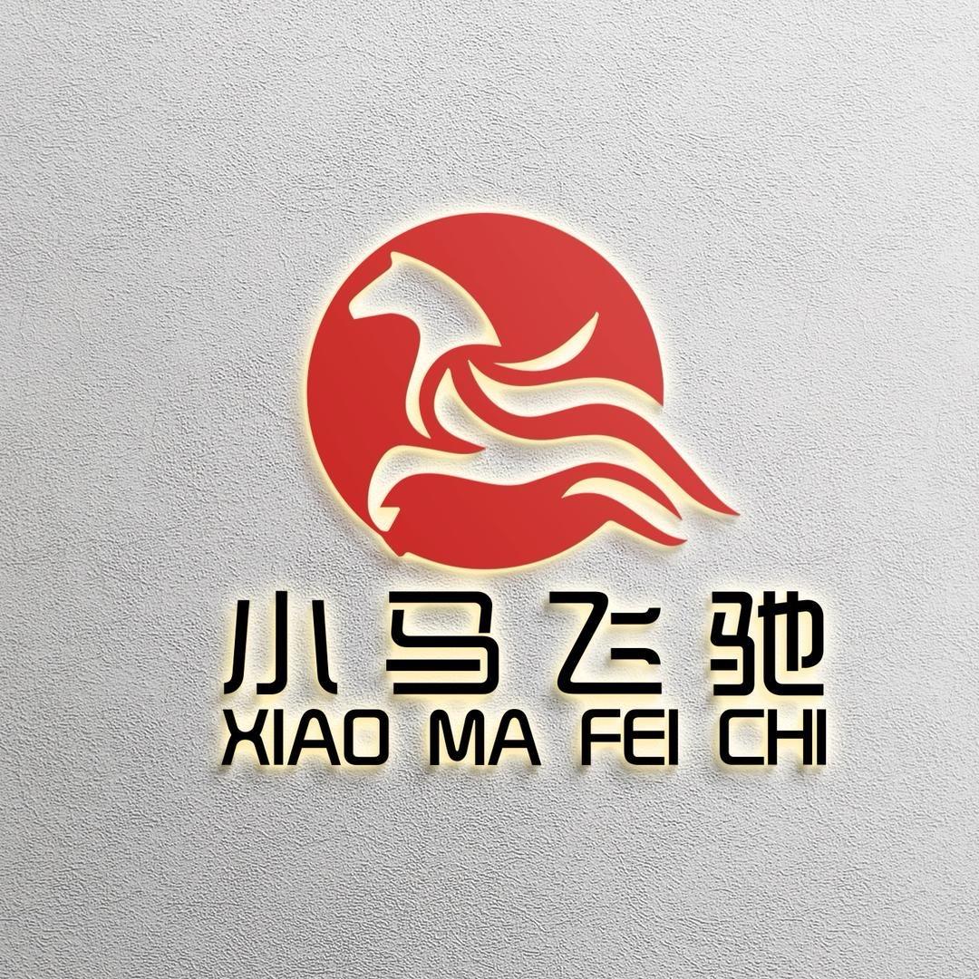 东阳小马飞驰影视有限公司
