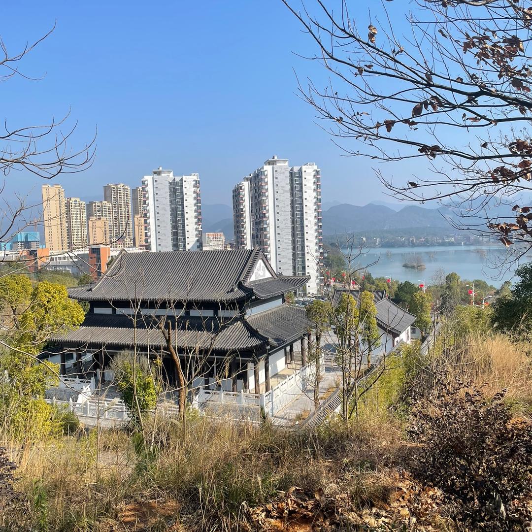 广西王老表
