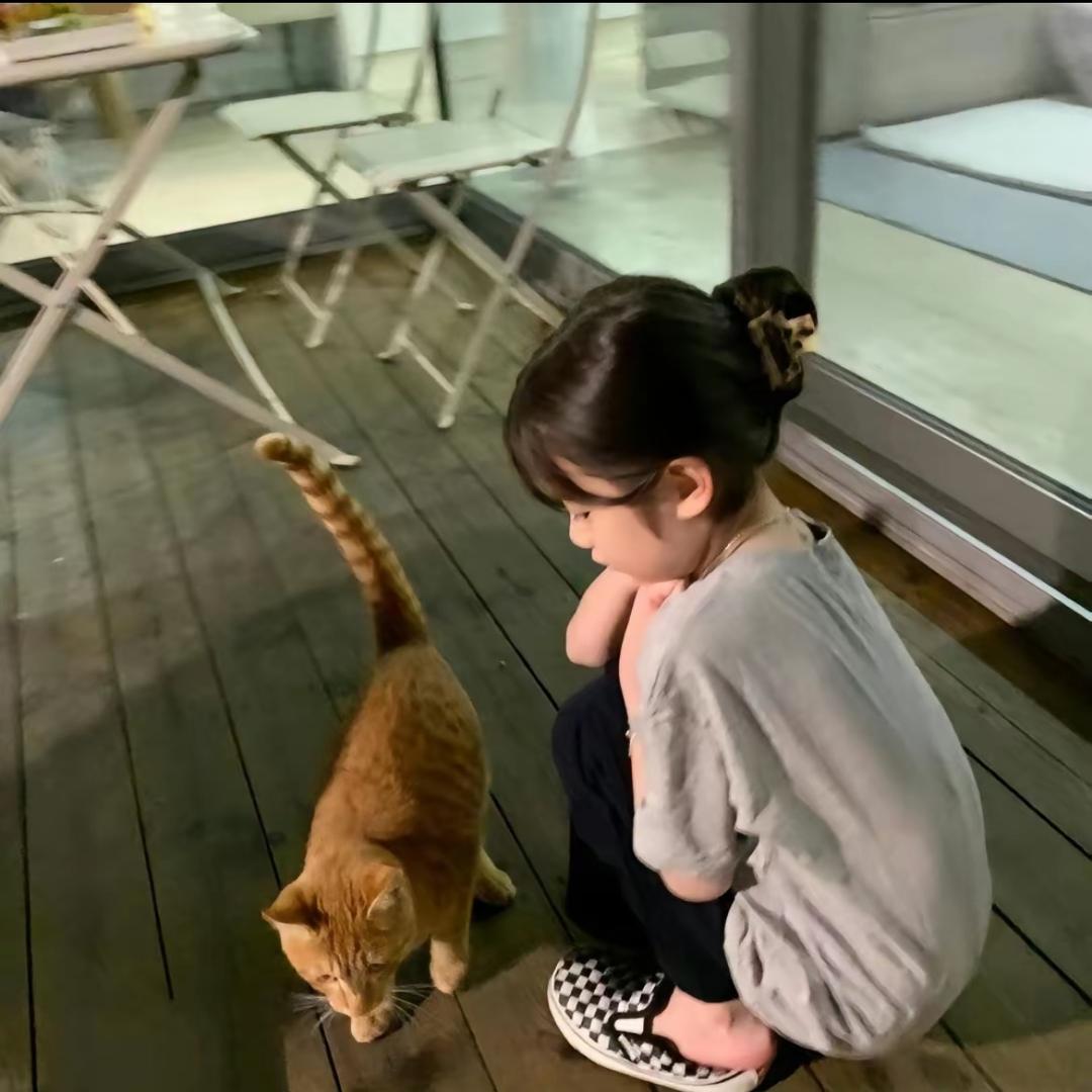 丸丸