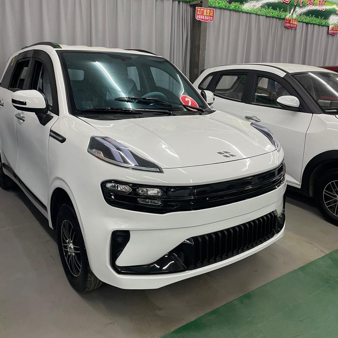 电动四轮车 金厂家