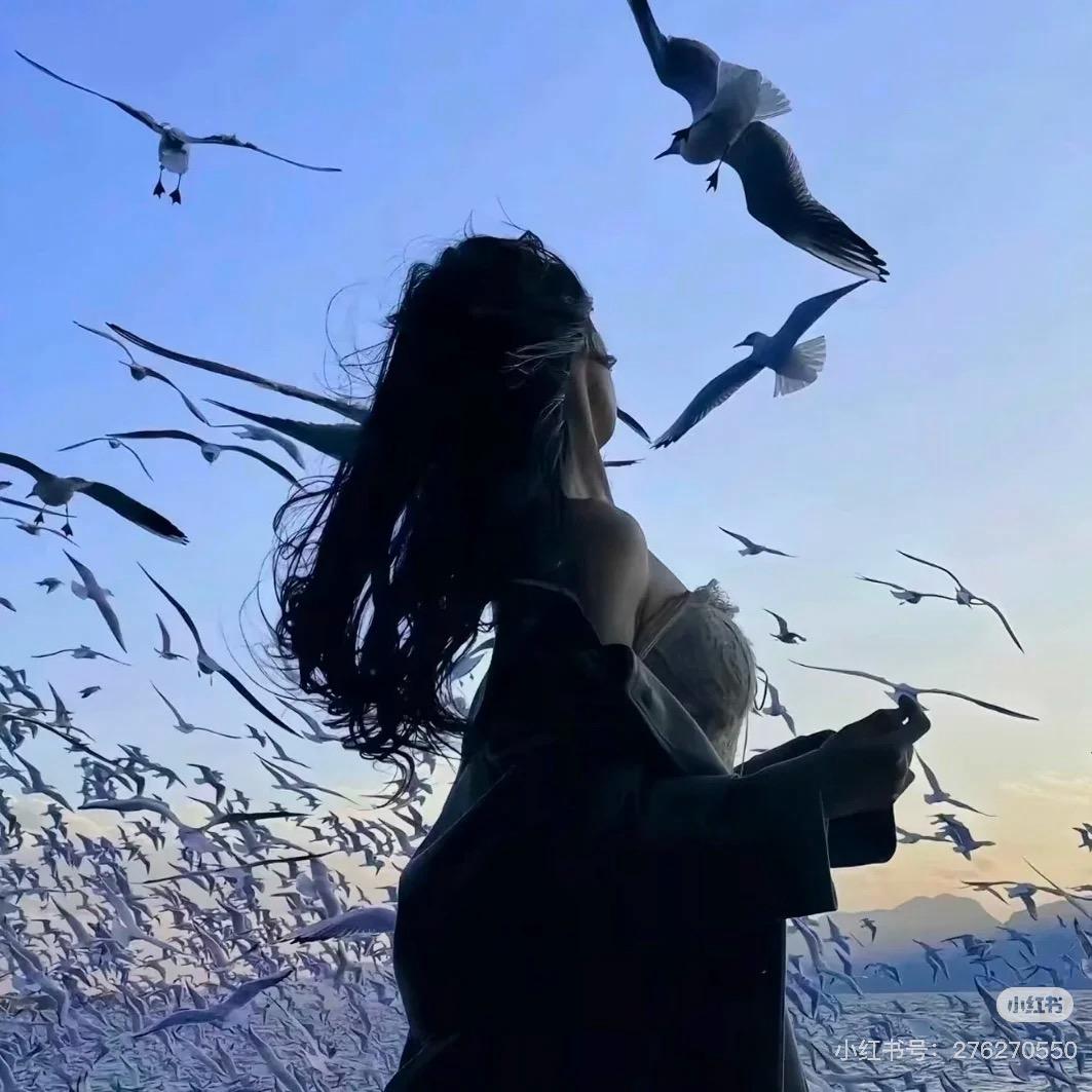 星星💫