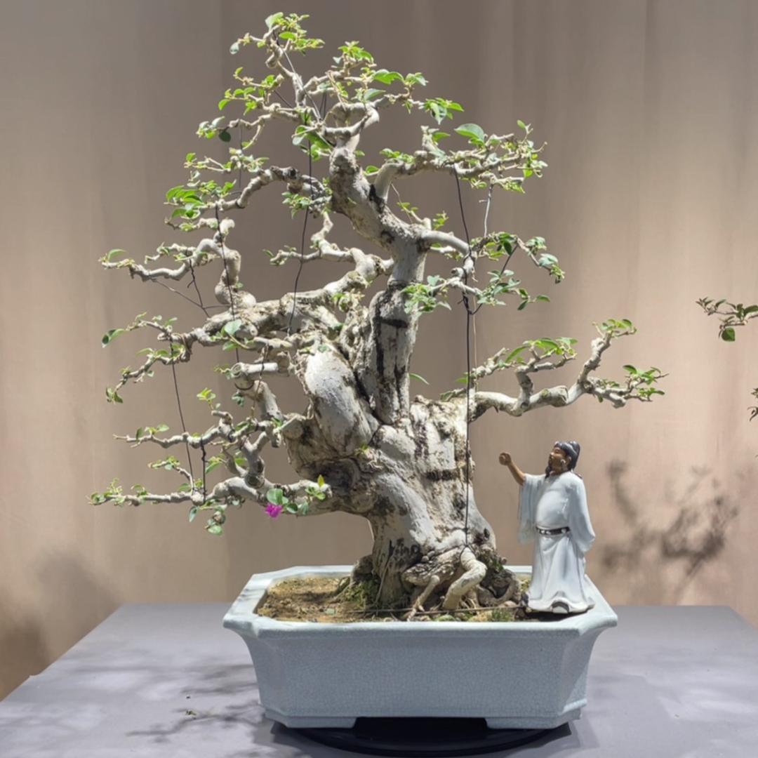 漳州正东花卉
