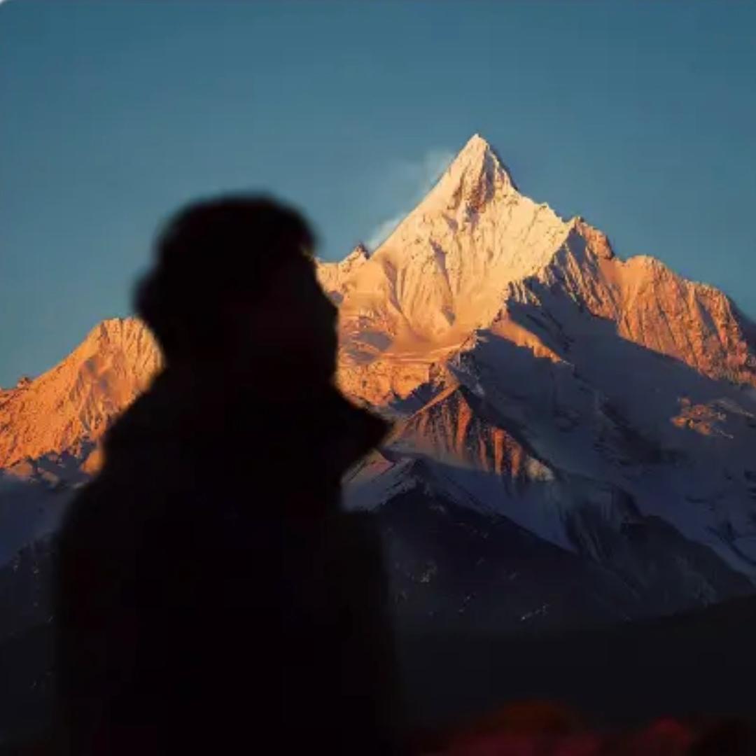 西洋象（三角洲行动）