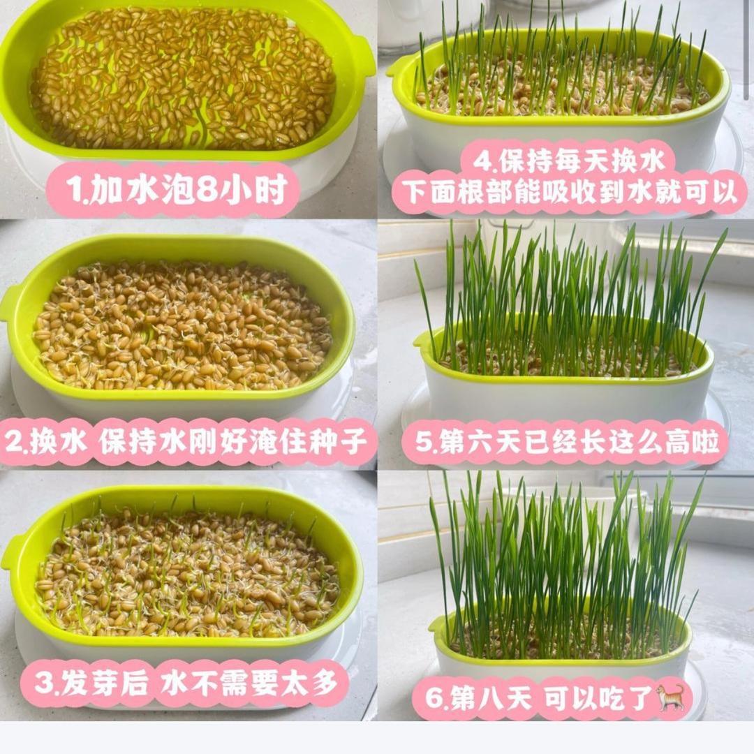 已重置