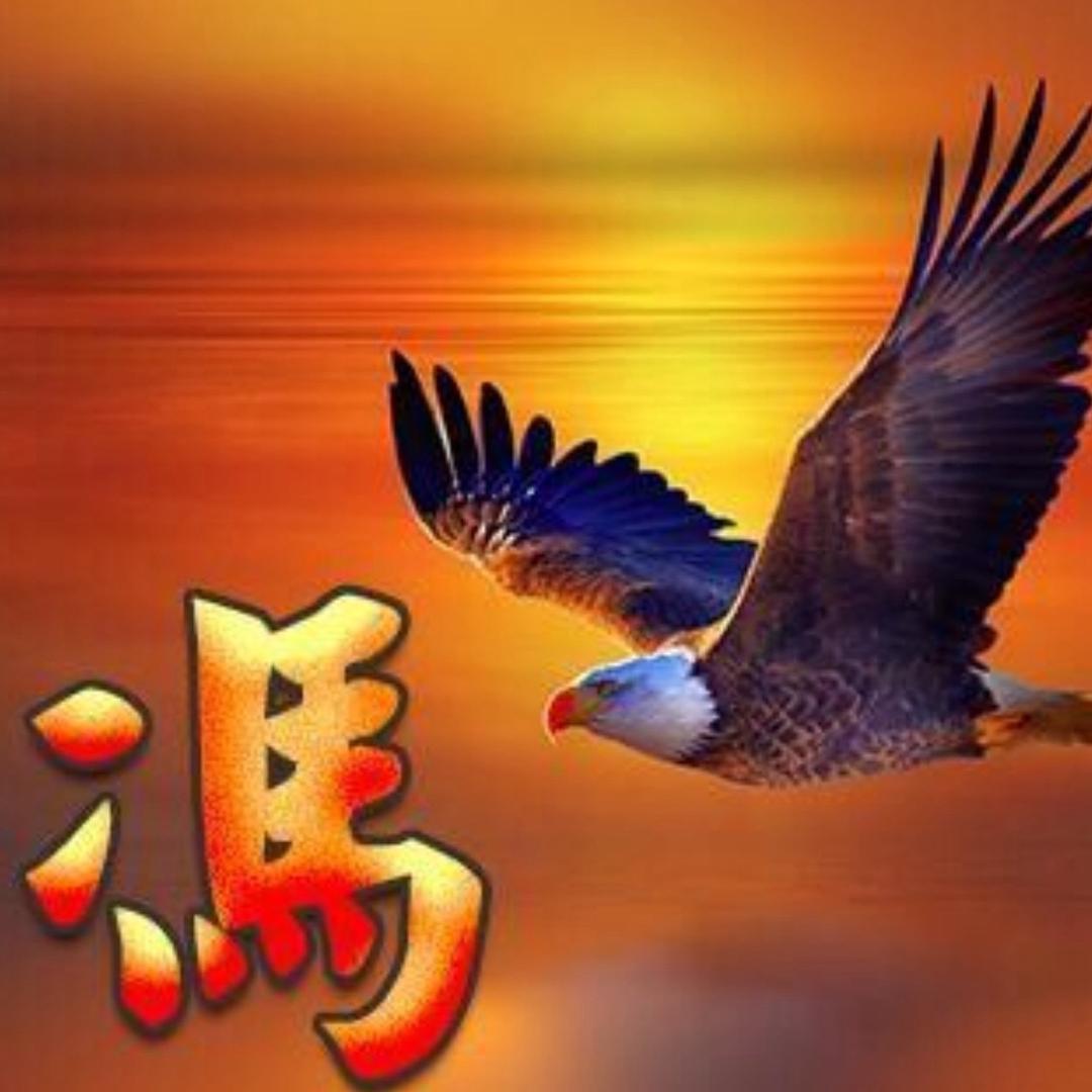 神鹰🦅三少爱钓鱼🎣🦈🐳🐬🏖️