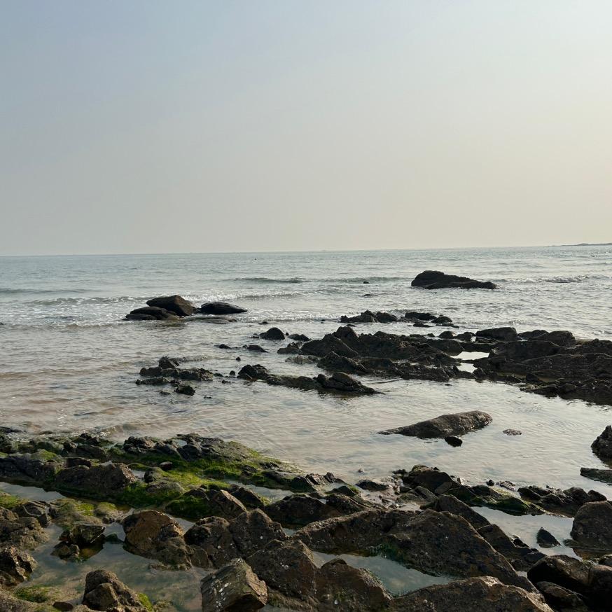 我想去可可西里