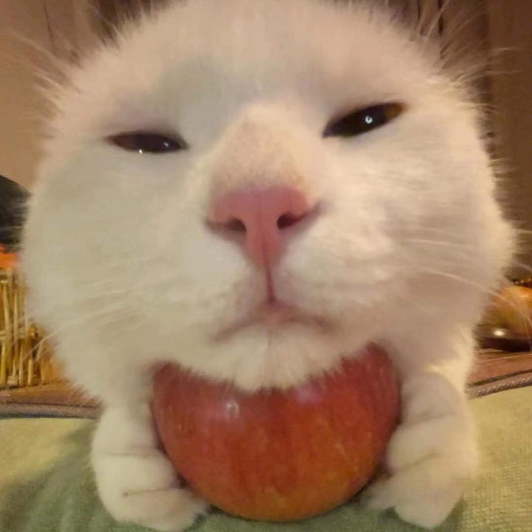 哈哈哈哈哈.