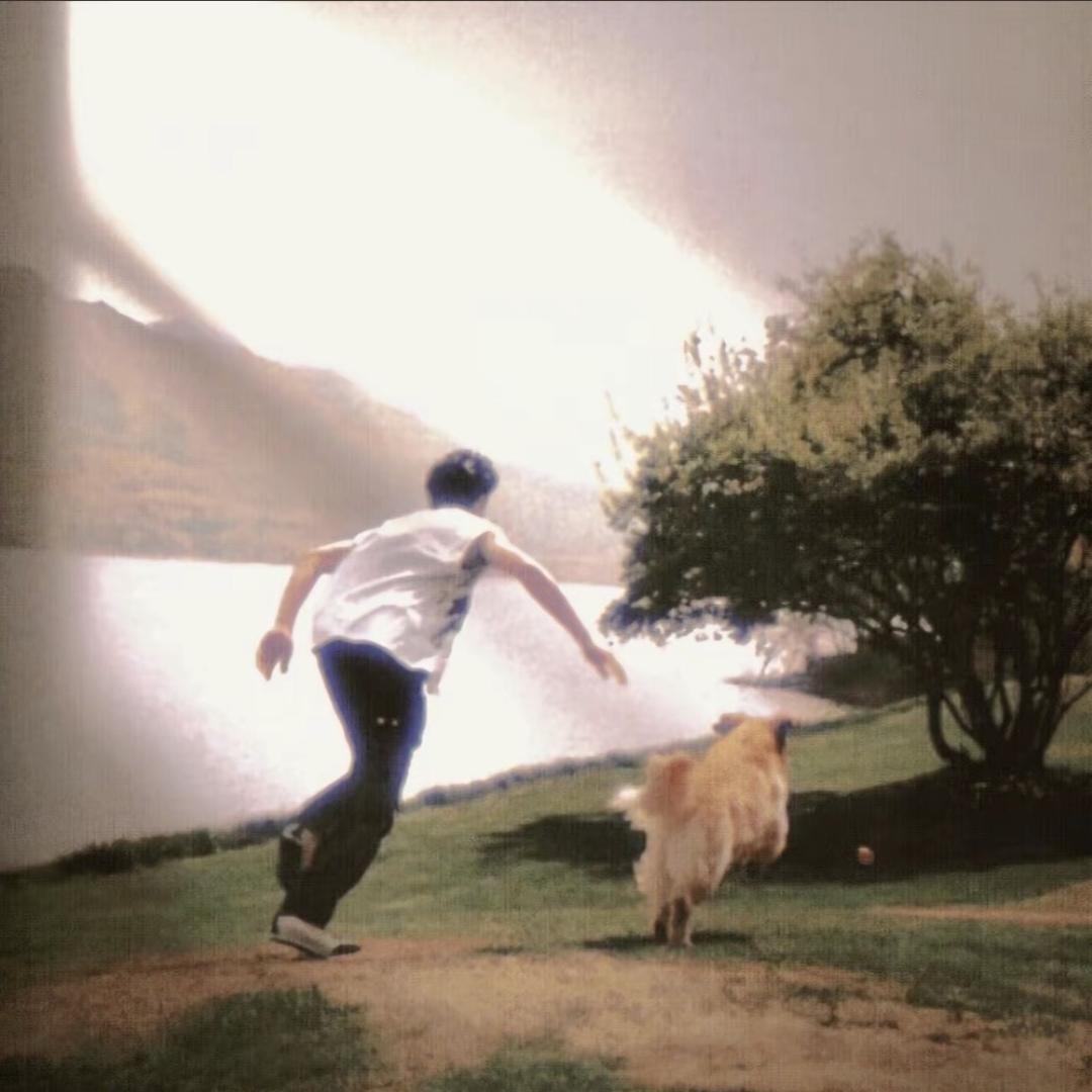 L_