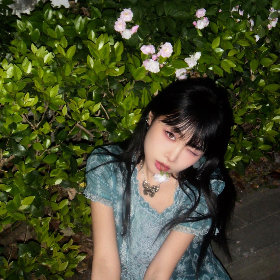 喵ﾐ・◦・ﾐ🎀