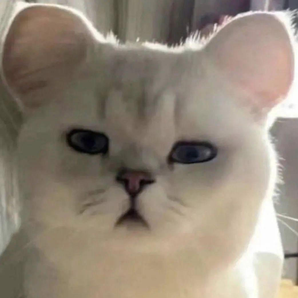 肥肥胖胖是太阳