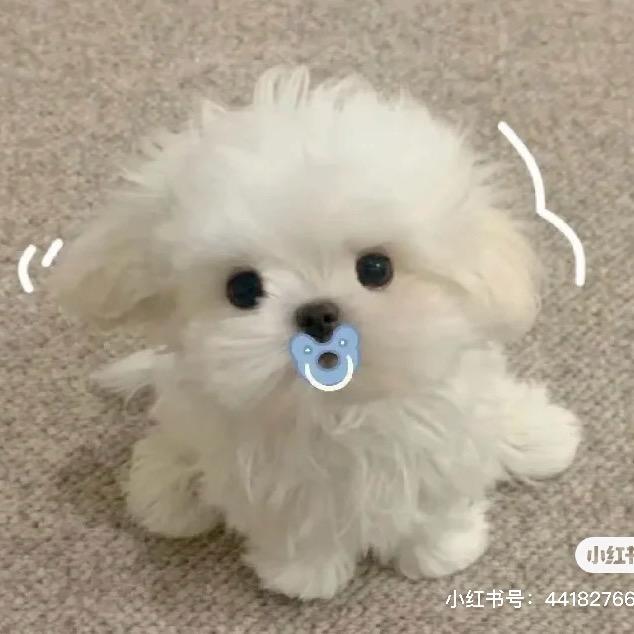 好人一身平安4.1501