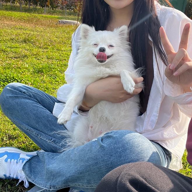 三只鱼珠宝