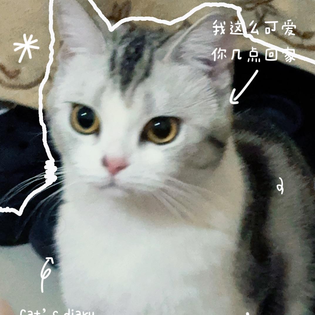 🍑桃子不甜了