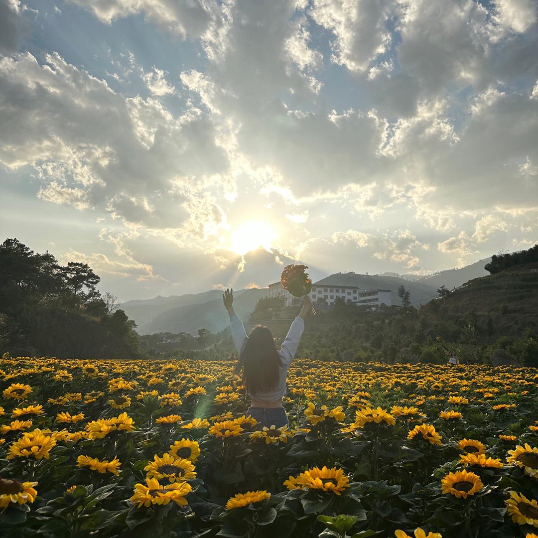 卖花的柠柠妈（小号）