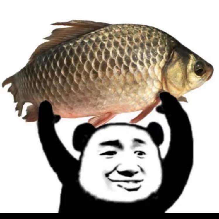 金牌鲫师