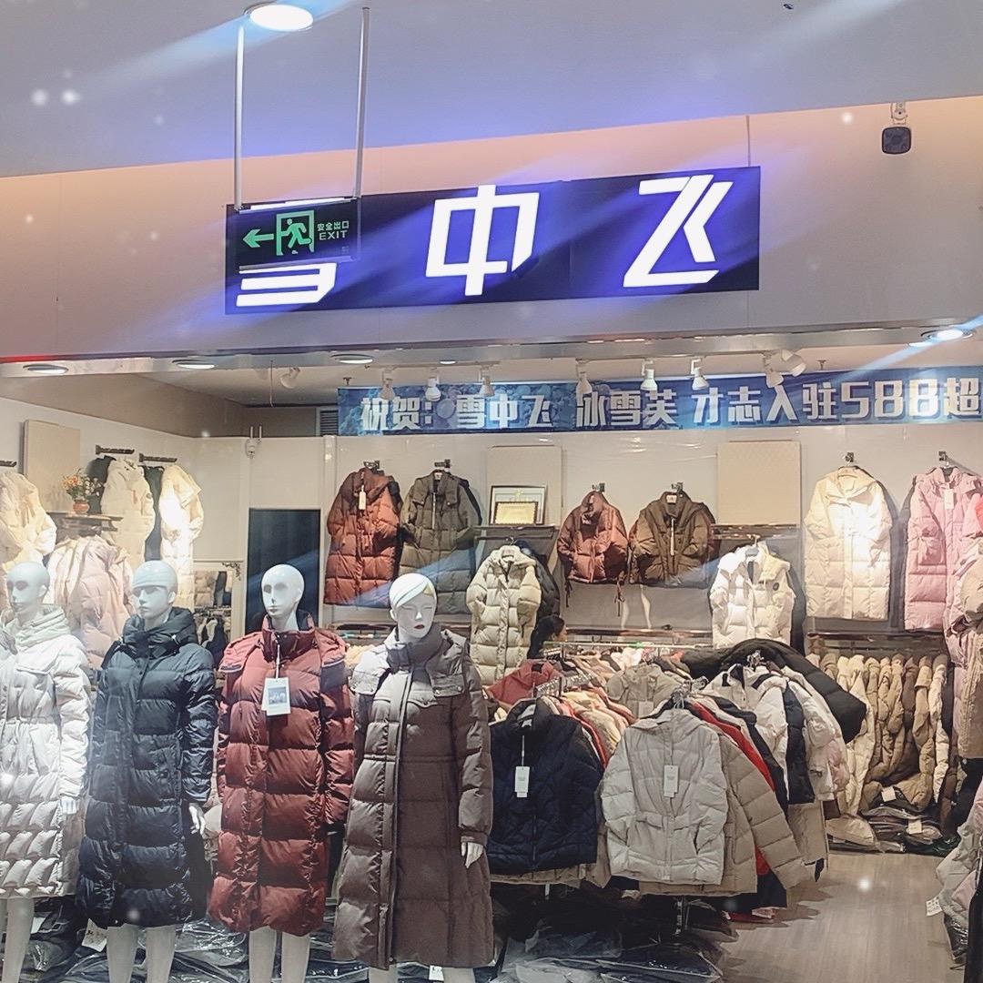 壶关雪中飞
