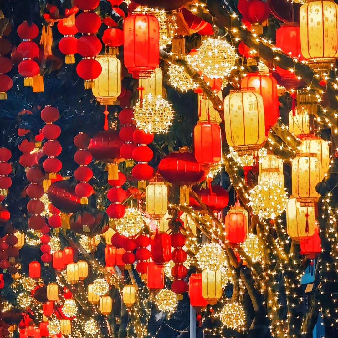 年货真选