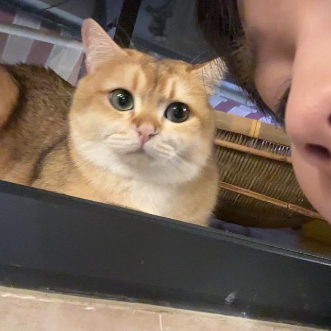 泣唯