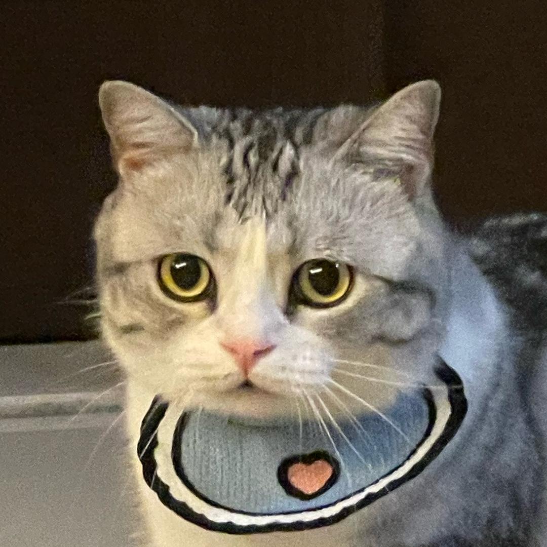 一只乐蟹