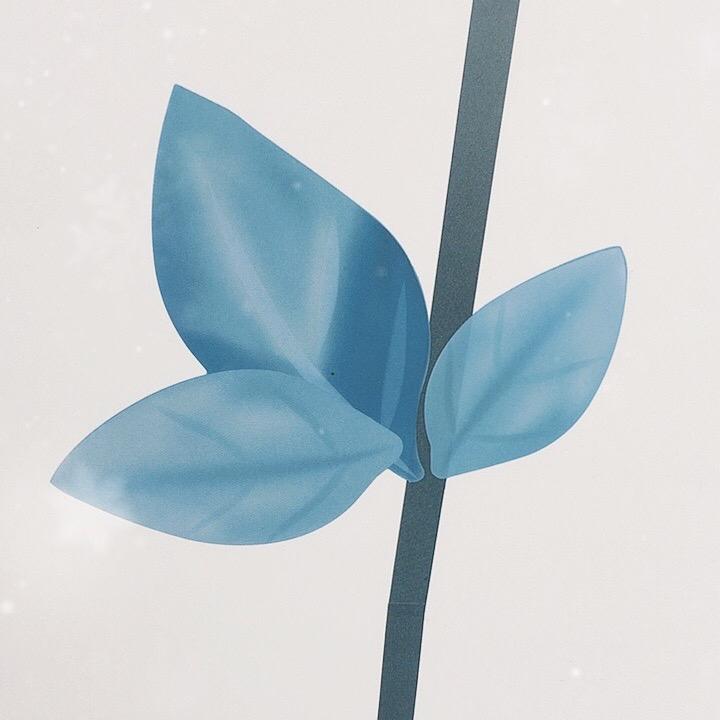 茂茂好物甄选