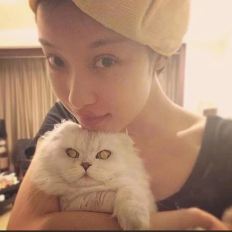 CJun