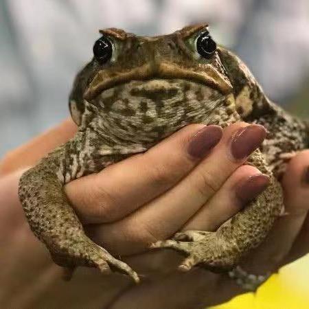 星亦发养殖基地