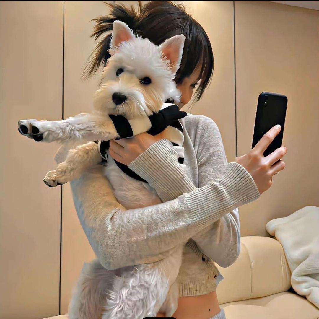 面面不爱吃面