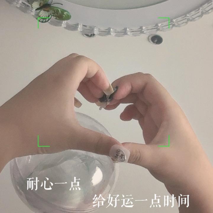 轩轩👧🏻🌹