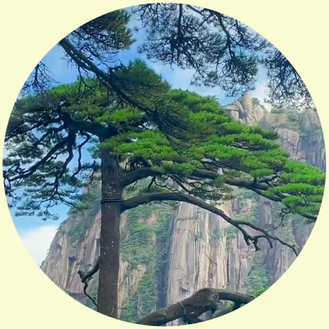 老君山奶奶说