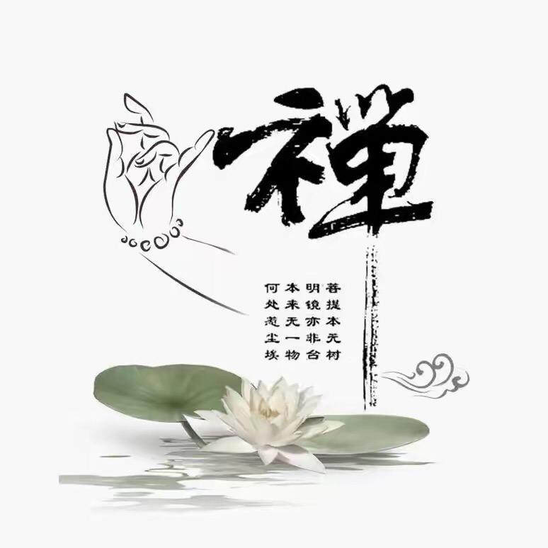 鸿天先生