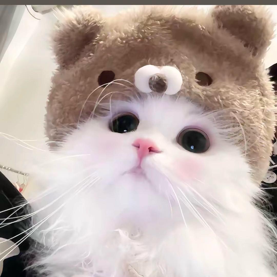 小迷糊💦