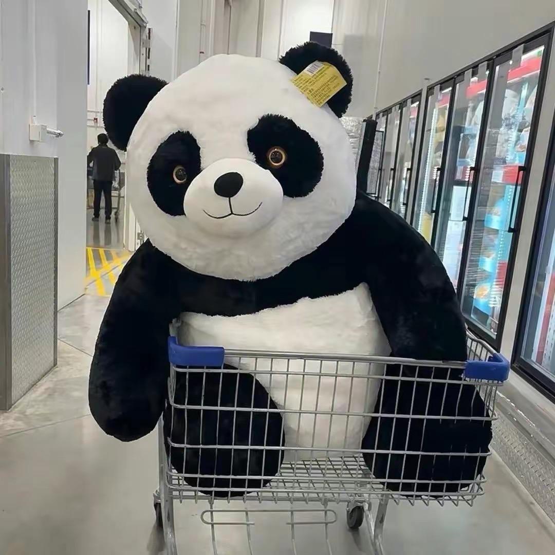 本丰㍿
