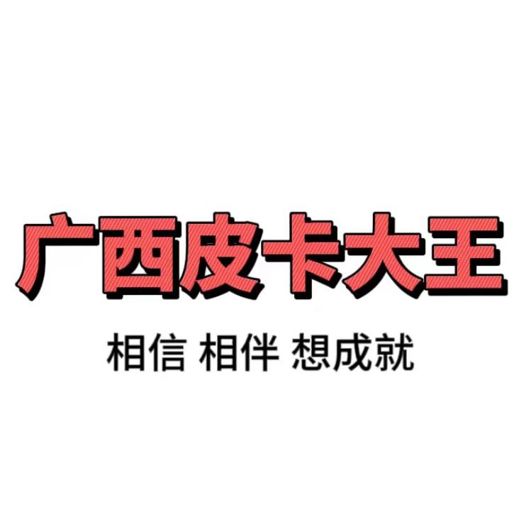 皮卡大王 二手皮卡