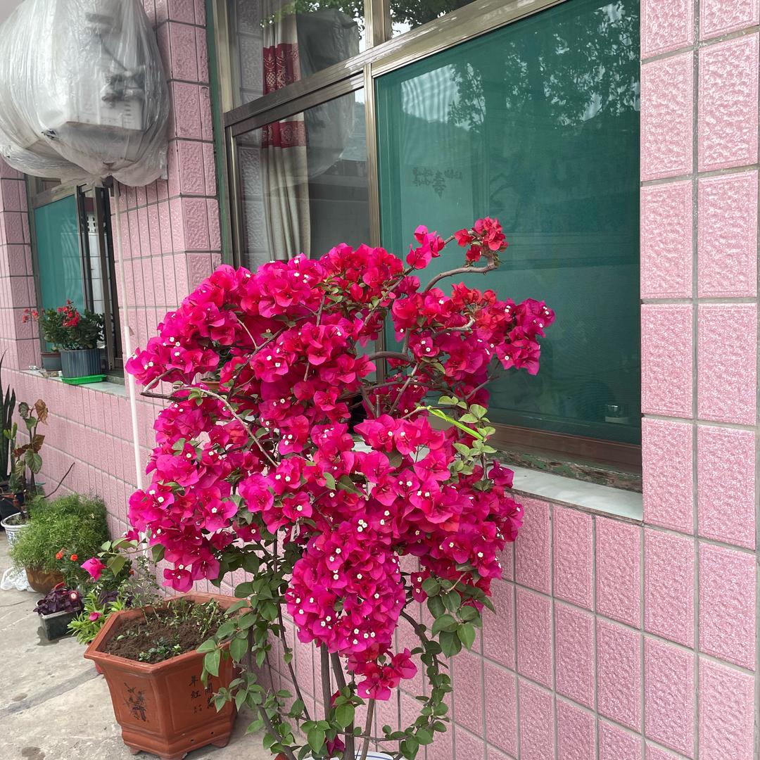 为你守候