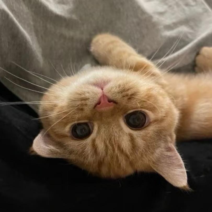 uuuuu