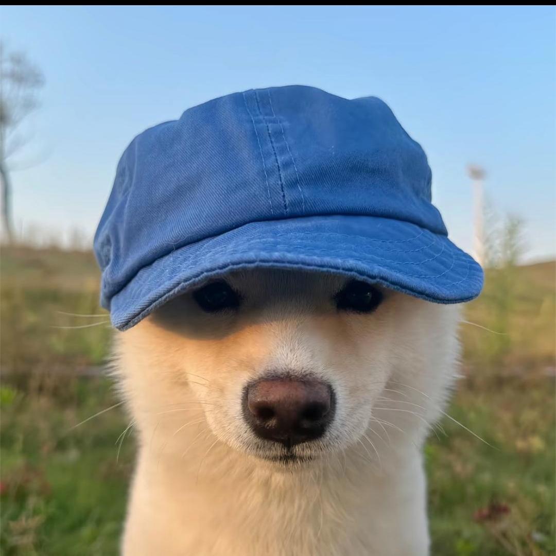 小溪馋馋𓆡𓆝