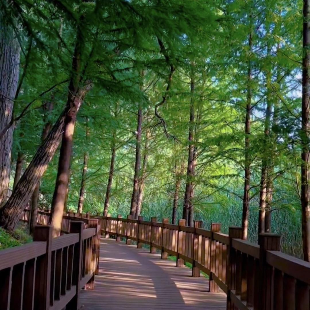 潇潇好物推荐，