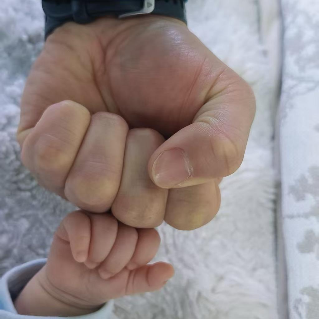 陆地鲨鱼