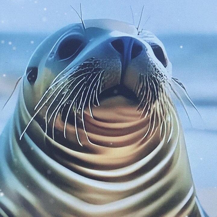 崇阳县时空1号农商店