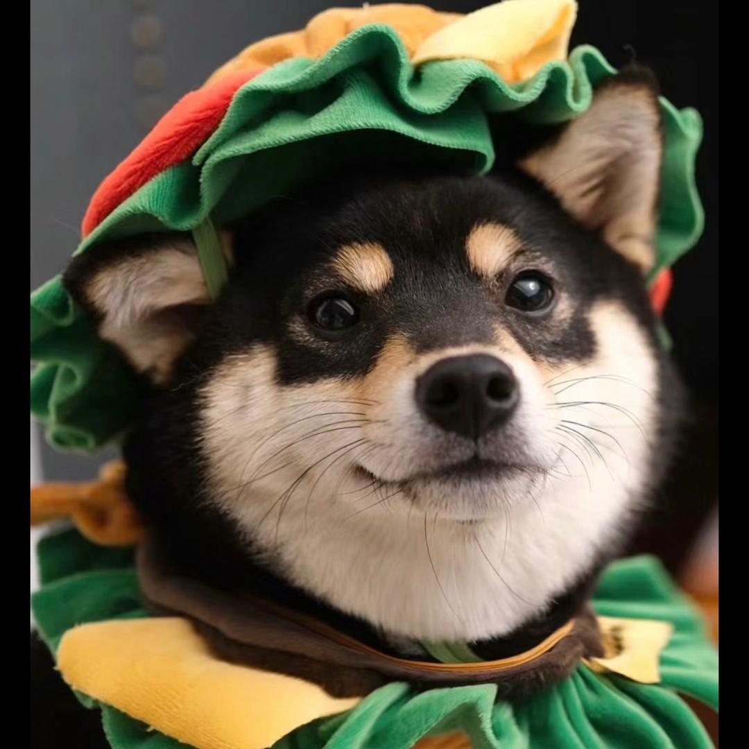 狍子