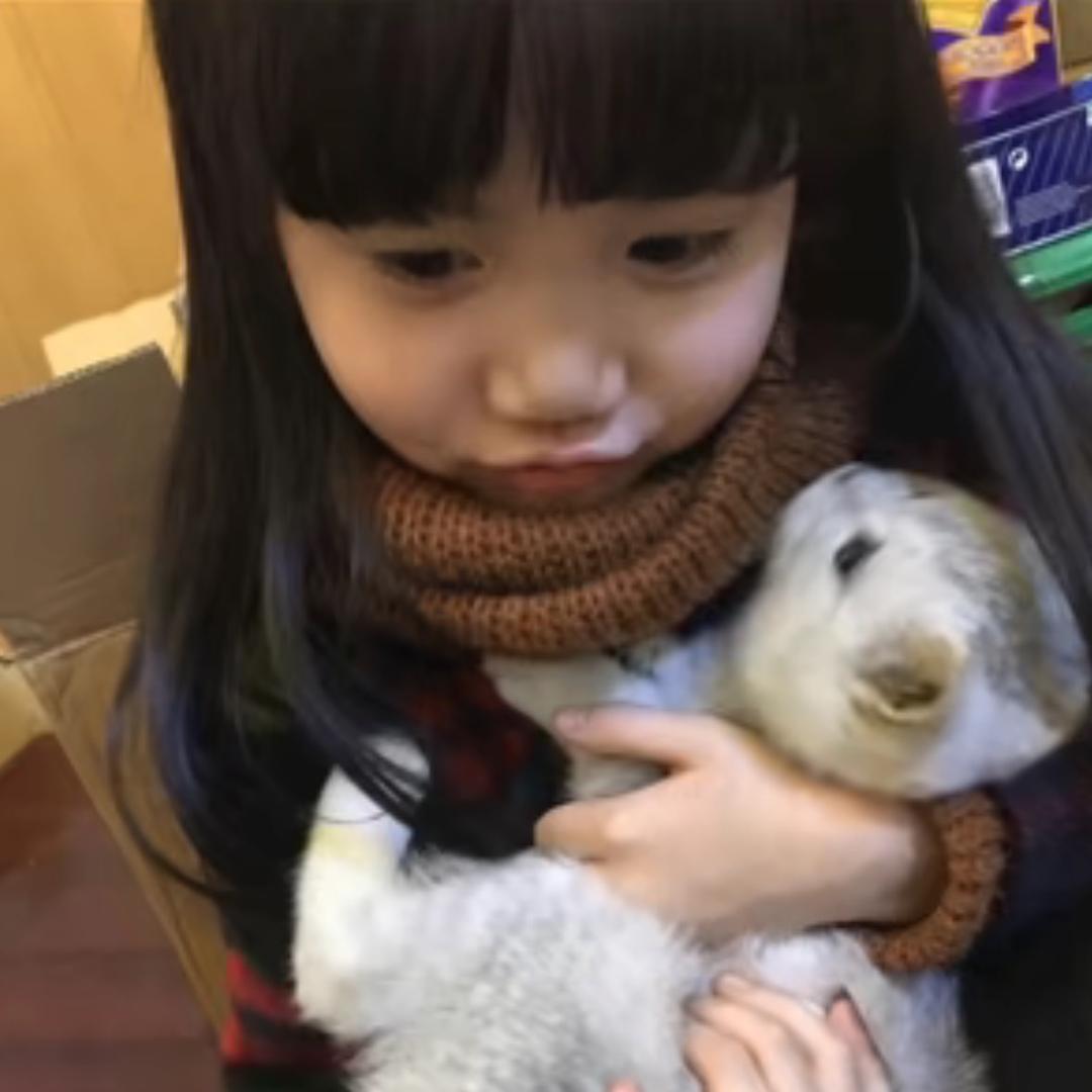 楠云（三角洲行动）