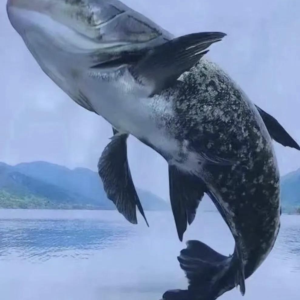 Lure威海仓