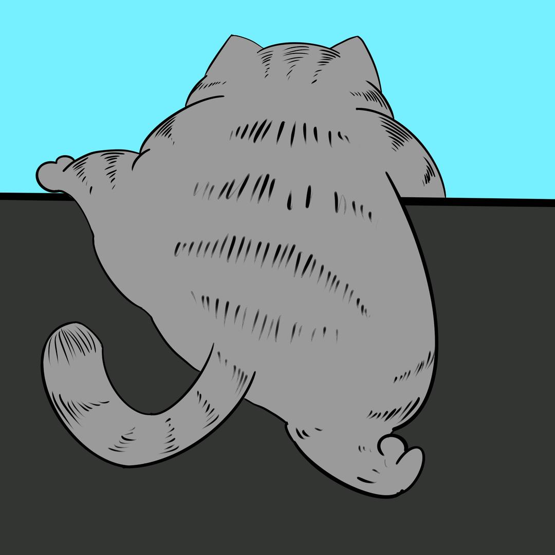 肥猫说漫