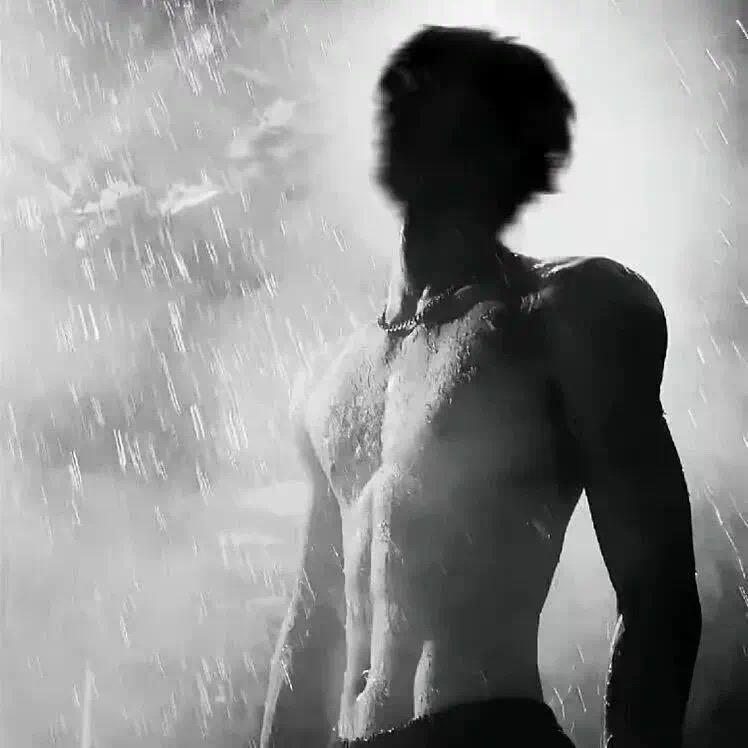 零碎的小狗日记