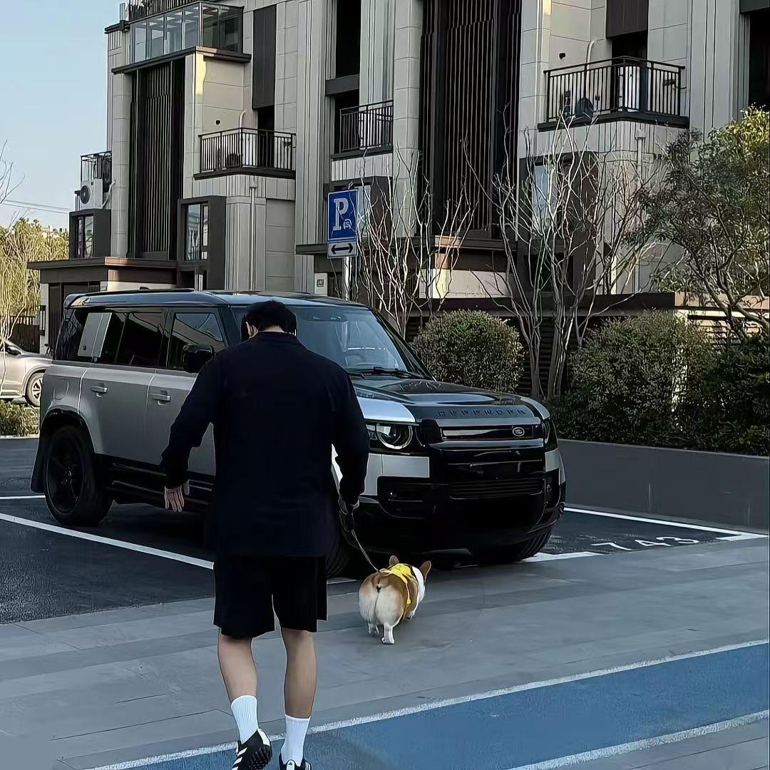 有路有虎没路虎