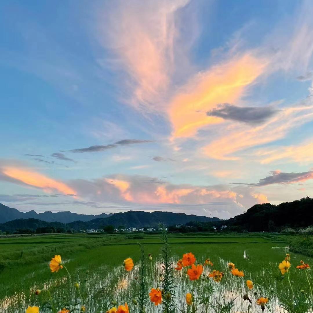 谁也不是谁的谁