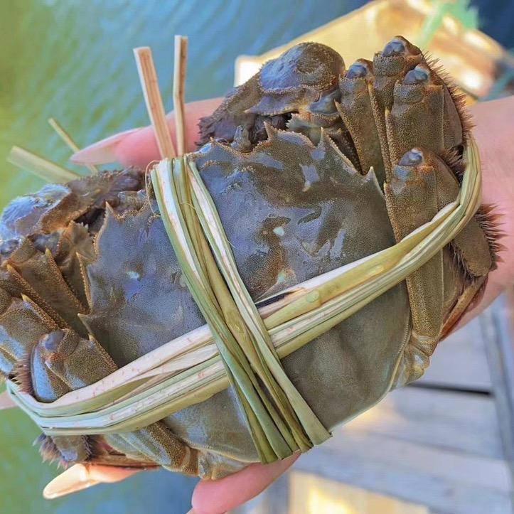 阳澄人家大闸蟹总店