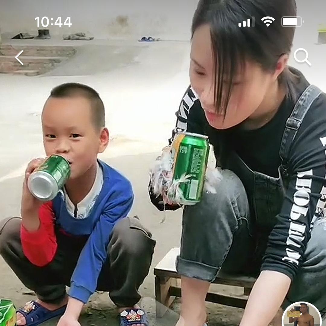 敬哥田园犬